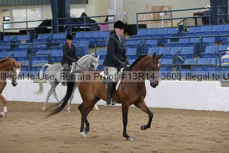 Proof Number 13r14_3608