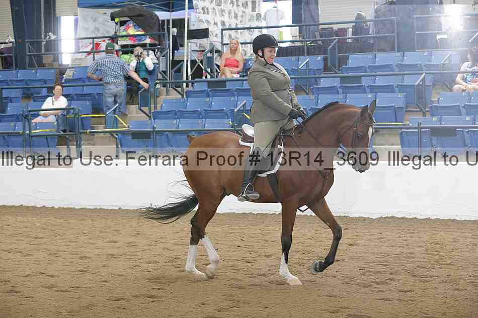 Proof Number 13r14_3609