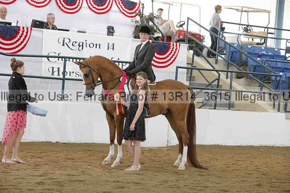 Proof Number 13r14_3615