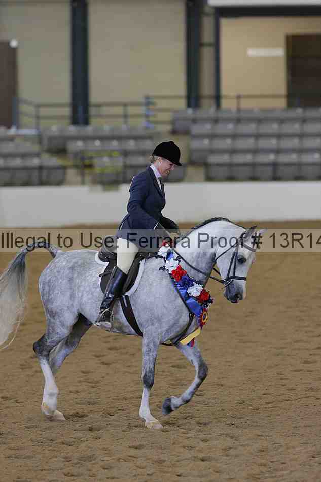 Proof Number 13r14_3630