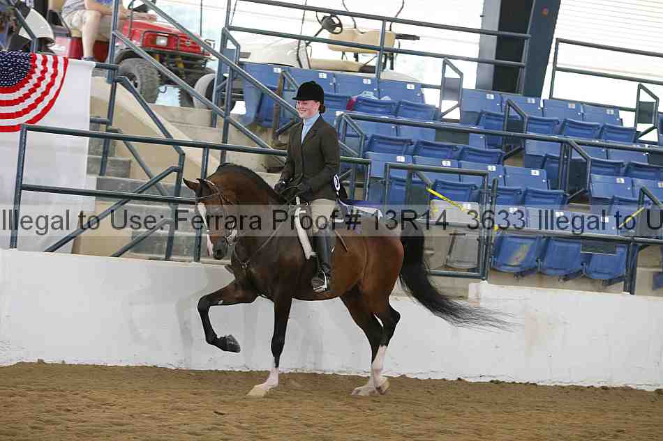 Proof Number 13r14_3633