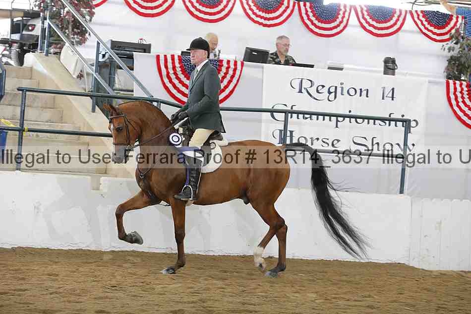 Proof Number 13r14_3637