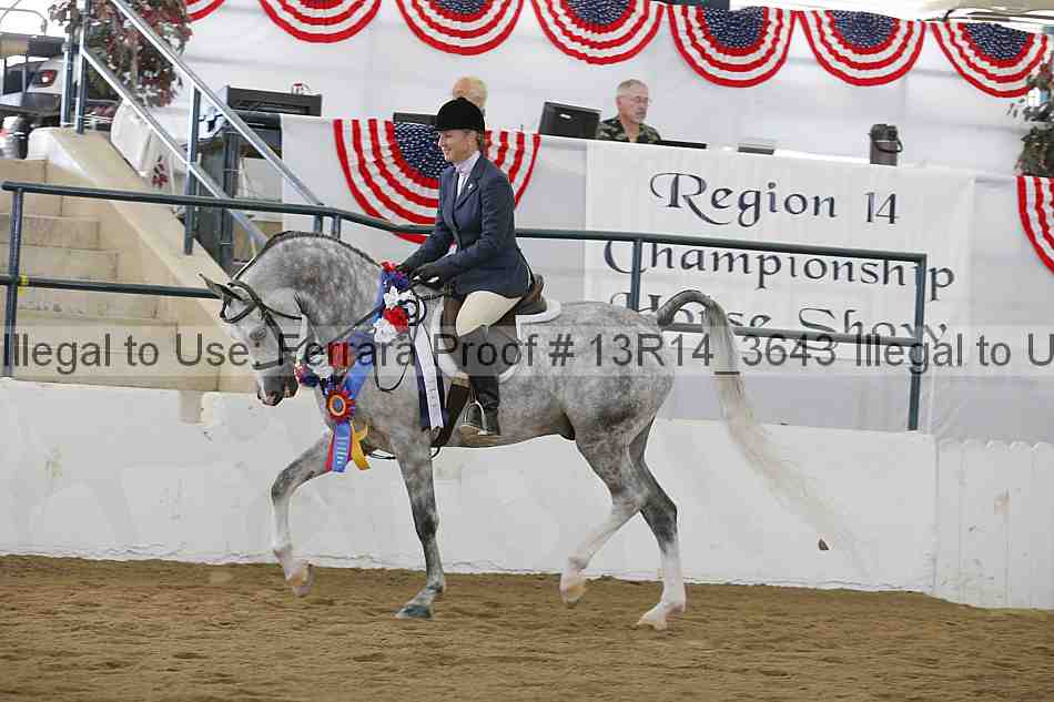 Proof Number 13r14_3643