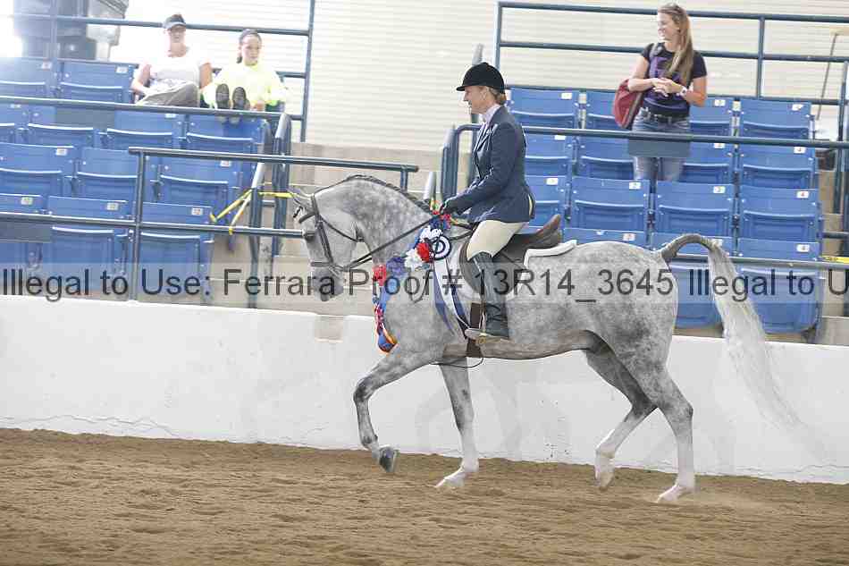 Proof Number 13r14_3645