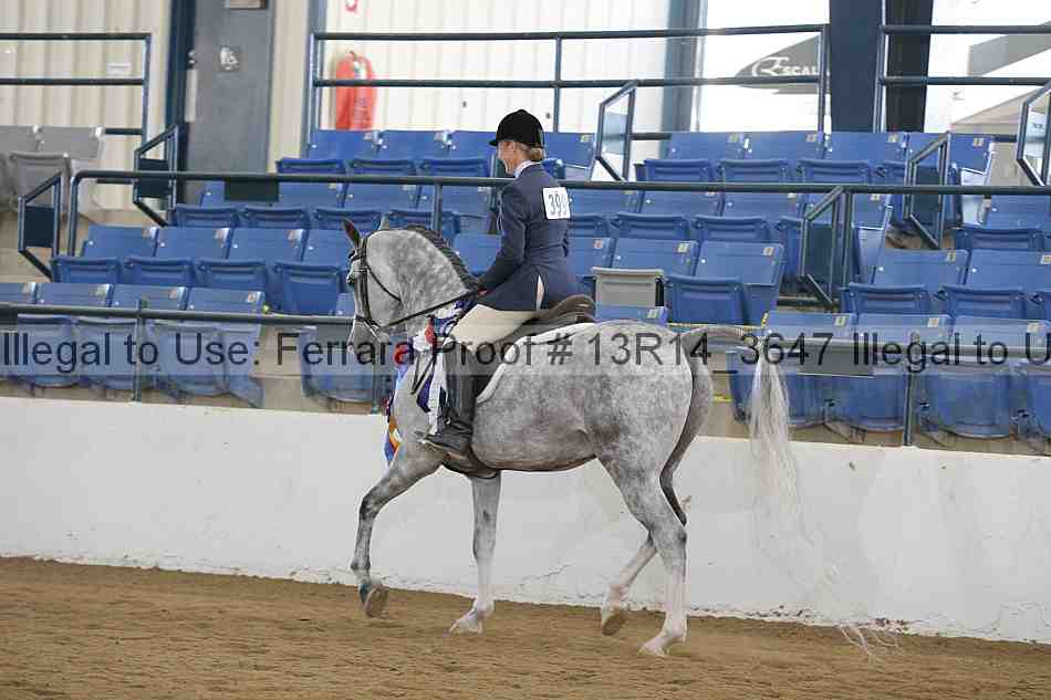 Proof Number 13r14_3647