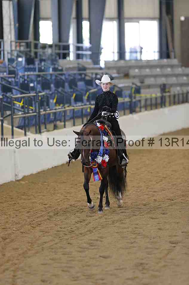 Proof Number 13r14_3666