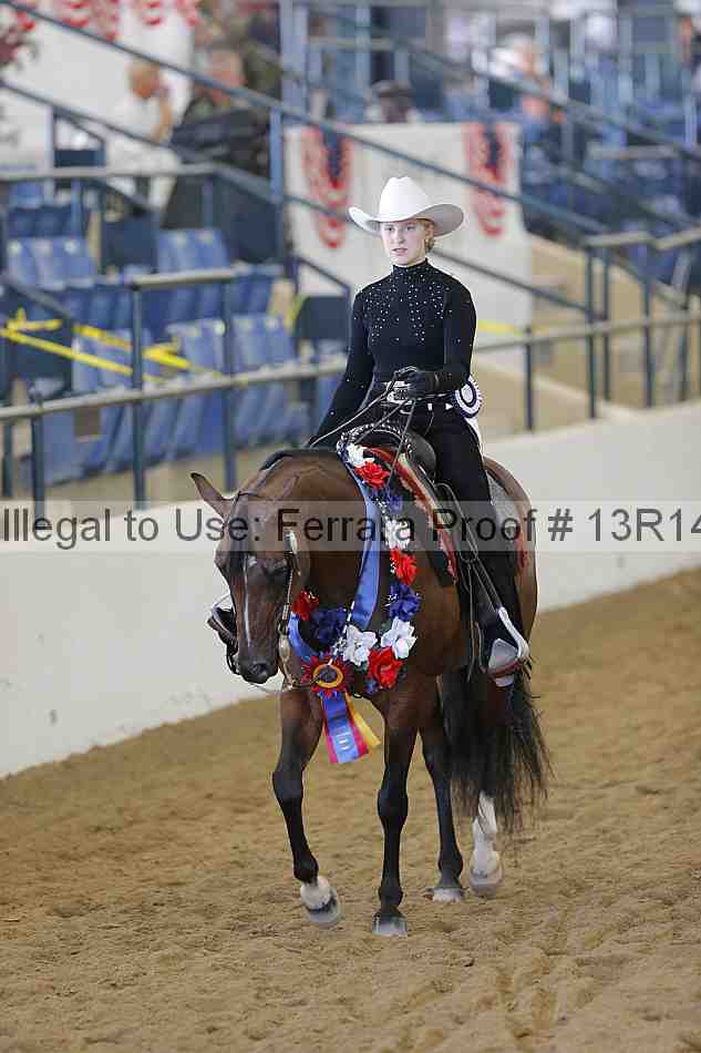 Proof Number 13r14_3668