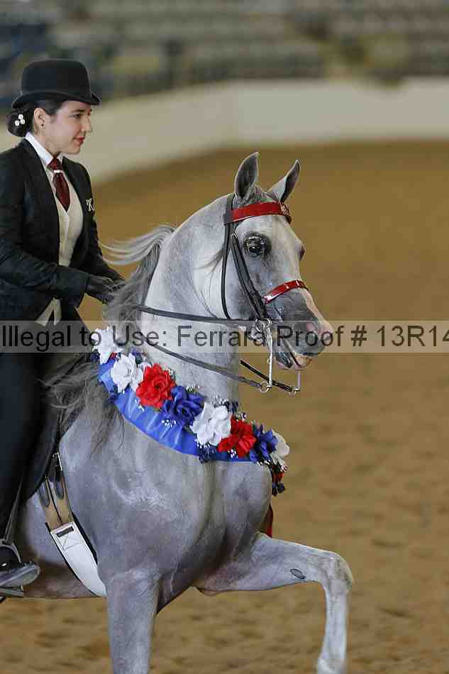 Proof Number 13r14_3704