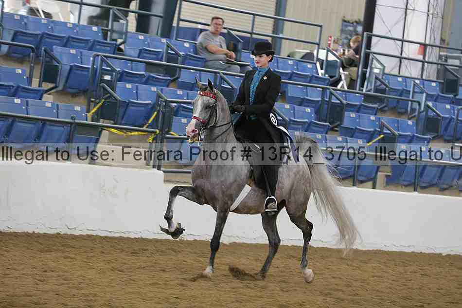 Proof Number 13r14_3705