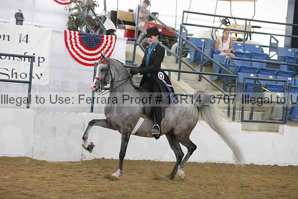 Proof Number 13r14_3707