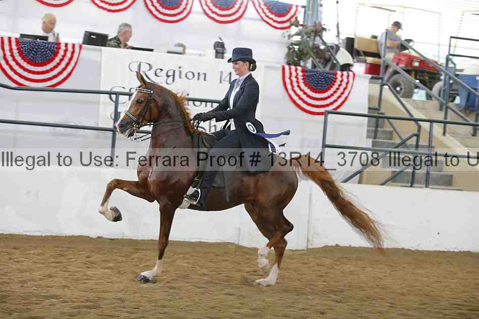 Proof Number 13r14_3708