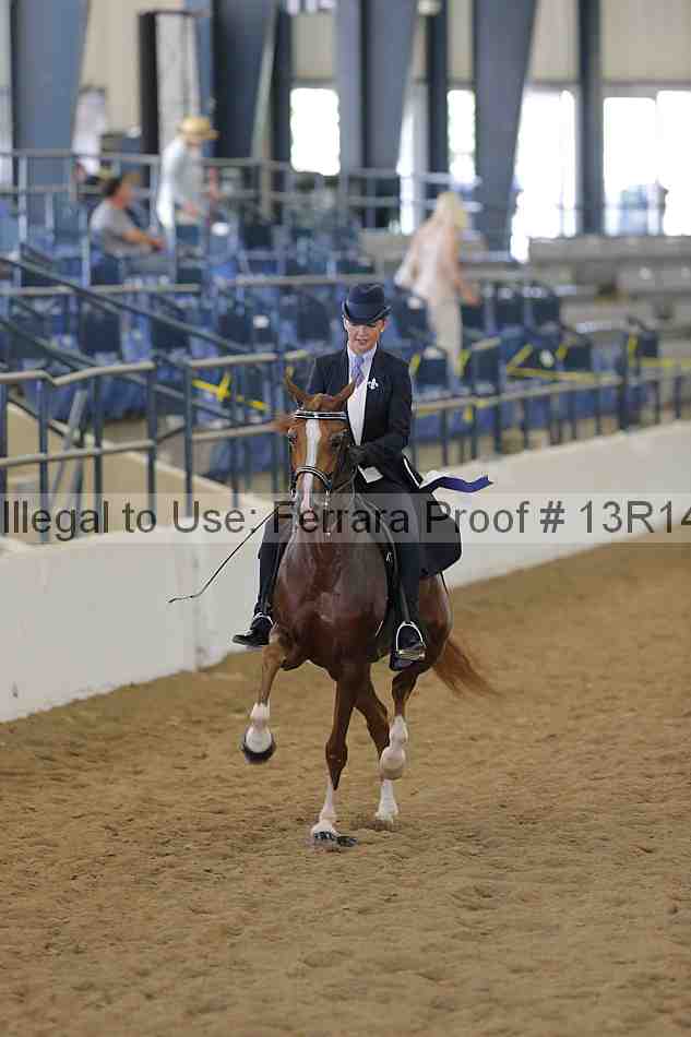 Proof Number 13r14_3710