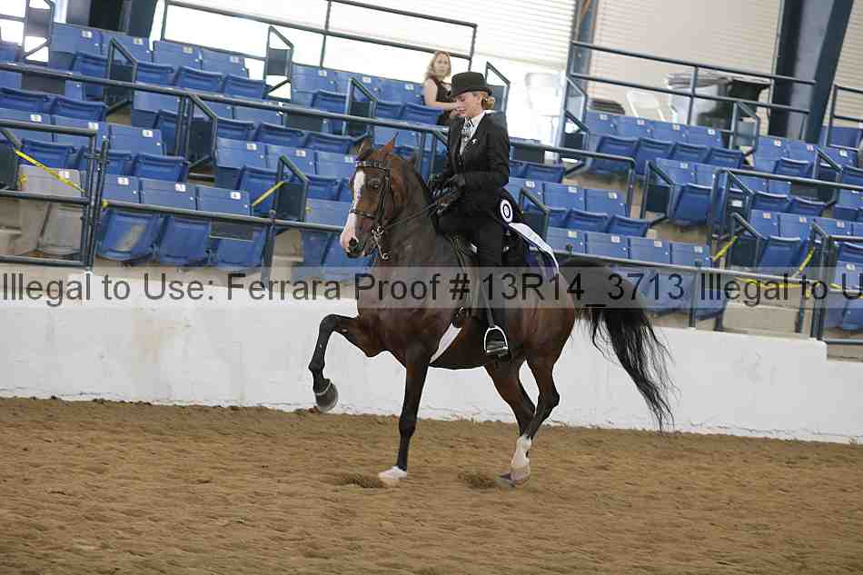 Proof Number 13r14_3713