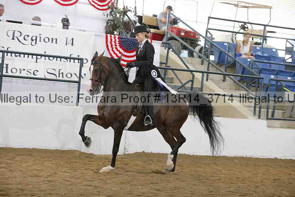 Proof Number 13r14_3714