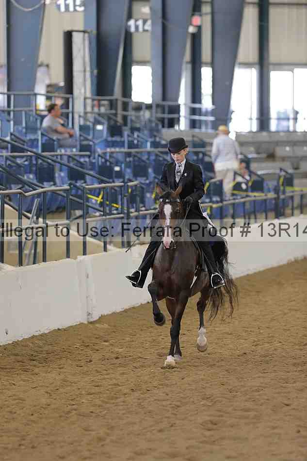 Proof Number 13r14_3715