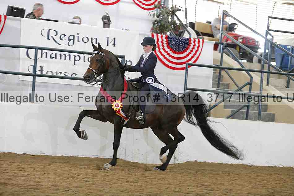 Proof Number 13r14_3717