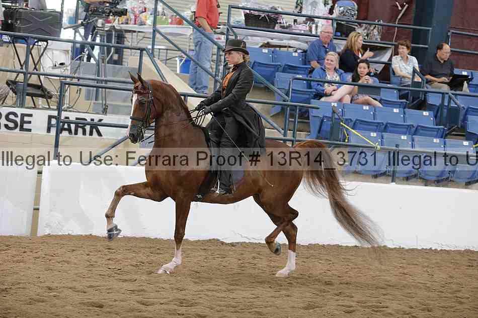 Proof Number 13r14_3731