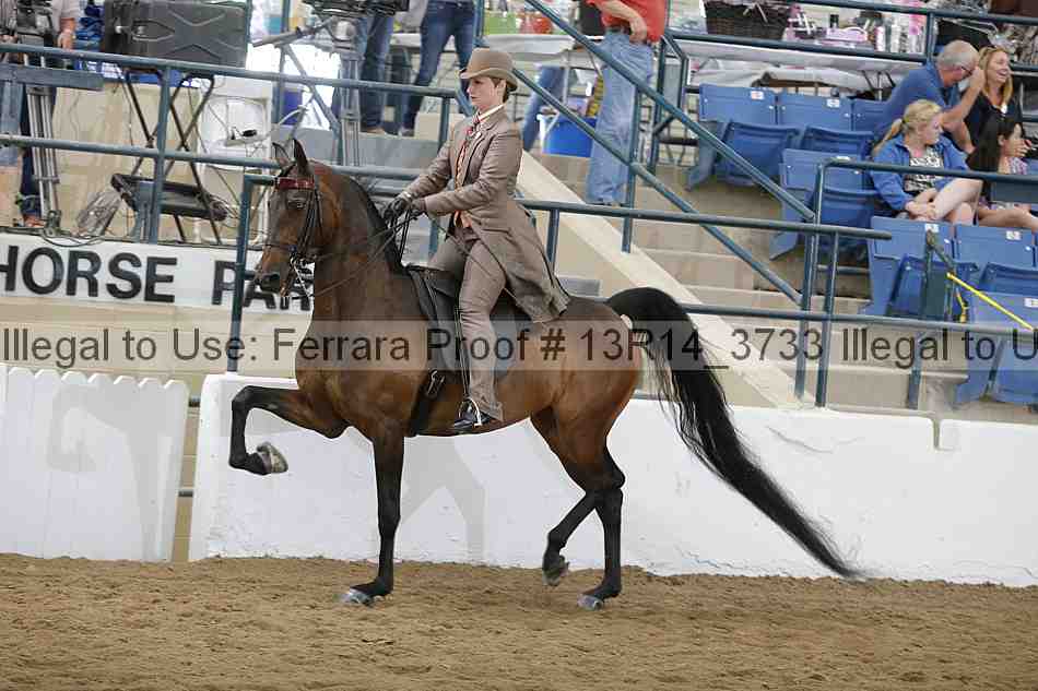 Proof Number 13r14_3733