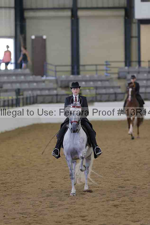 Proof Number 13r14_3736