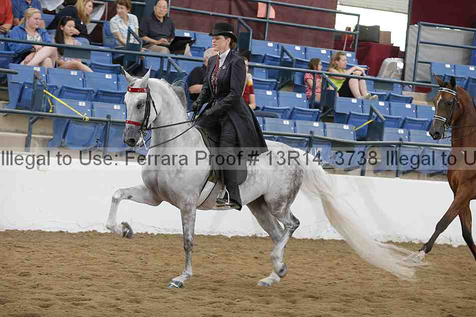 Proof Number 13r14_3738