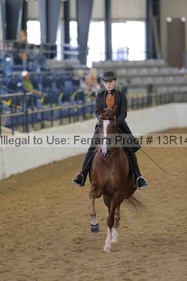 Proof Number 13r14_3740