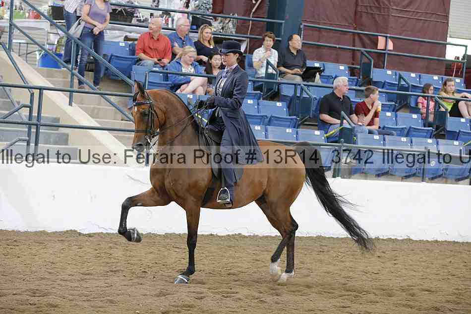 Proof Number 13r14_3742