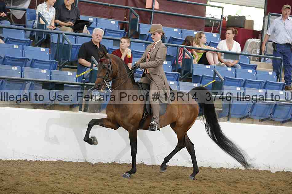 Proof Number 13r14_3746