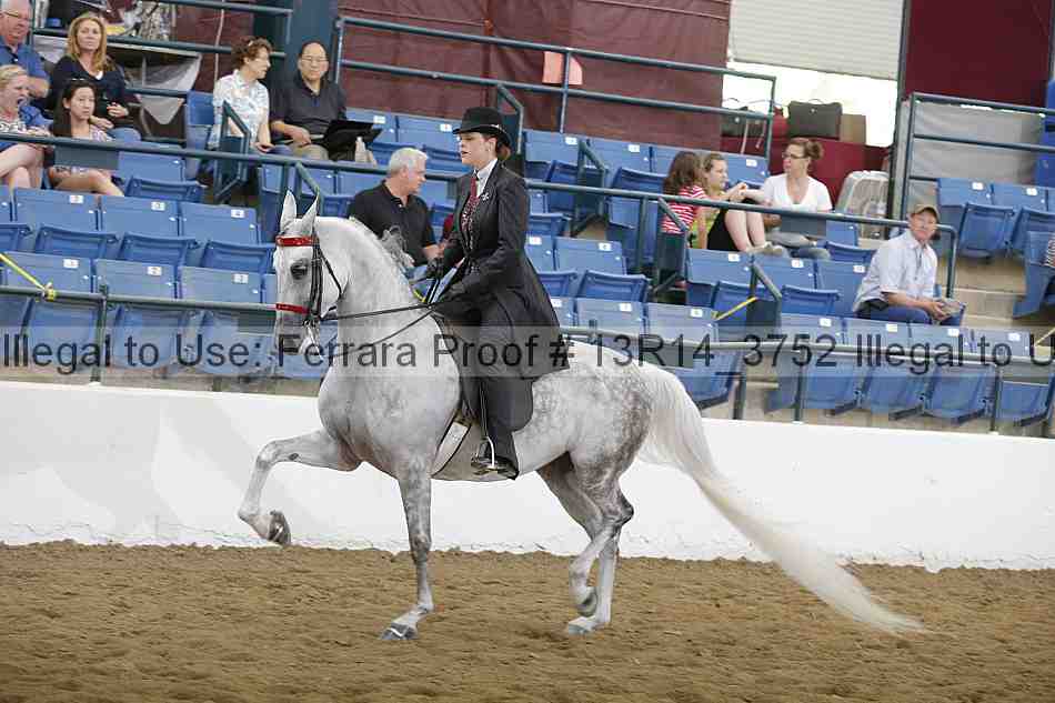 Proof Number 13r14_3752