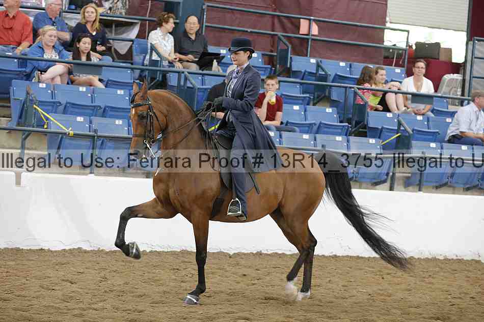 Proof Number 13r14_3755