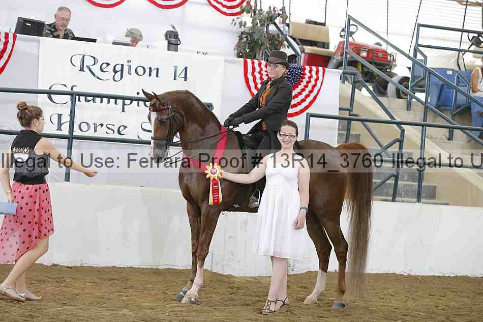 Proof Number 13r14_3760