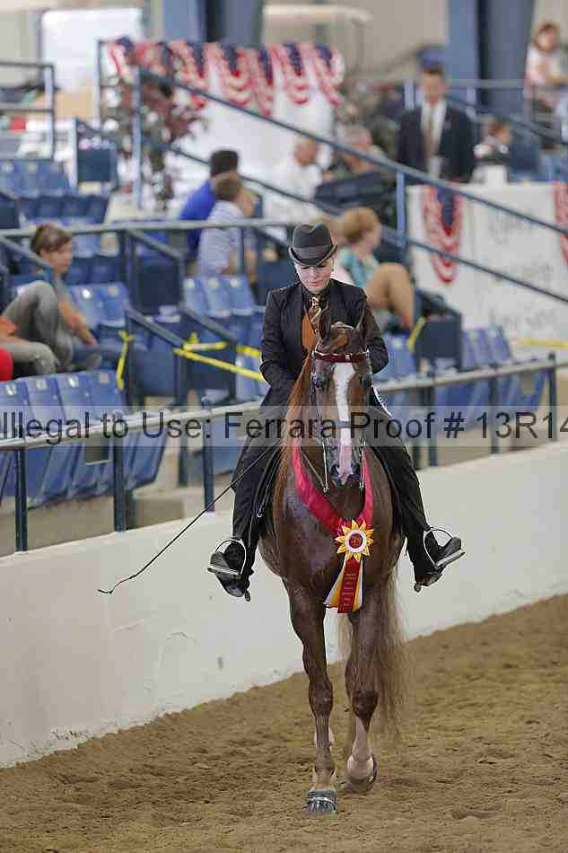 Proof Number 13r14_3762