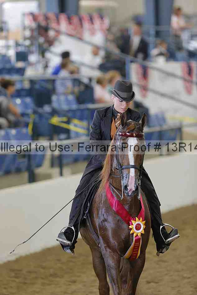 Proof Number 13r14_3763