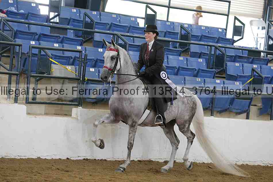 Proof Number 13r14_3764