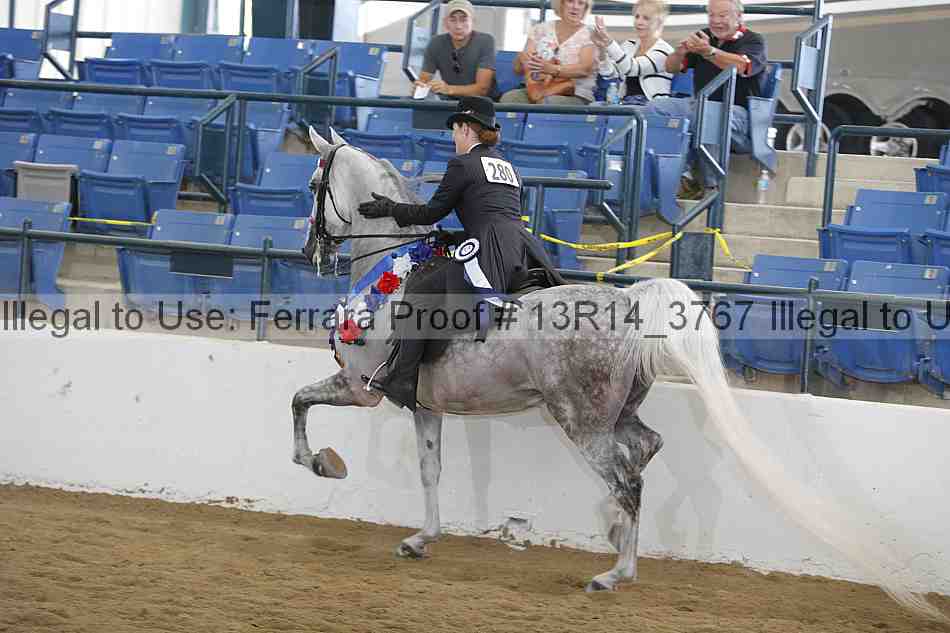 Proof Number 13r14_3767