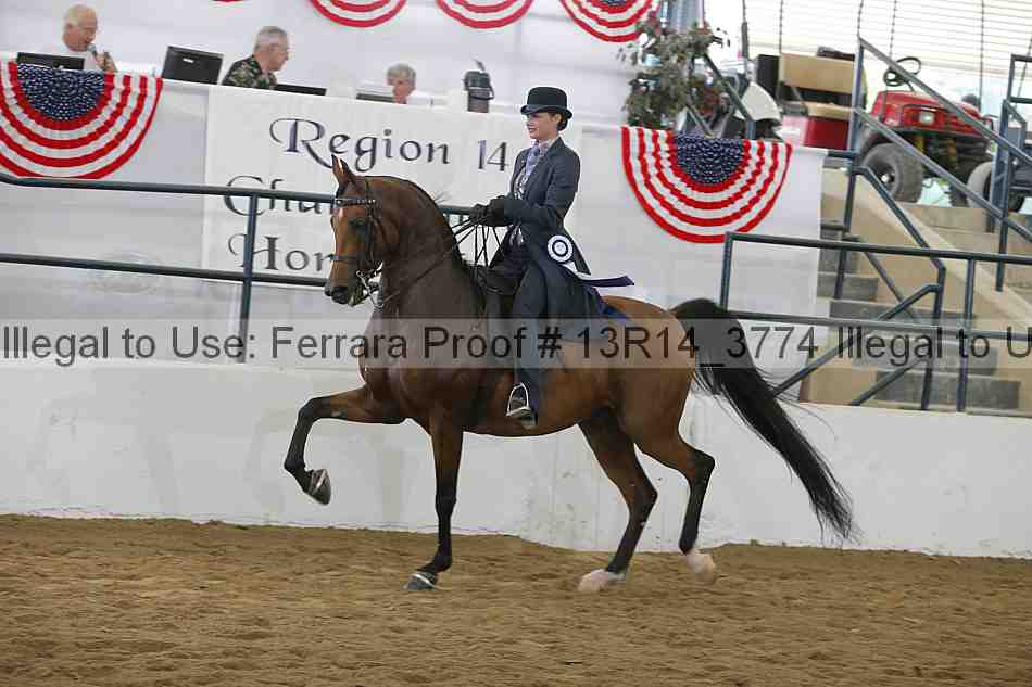 Proof Number 13r14_3774