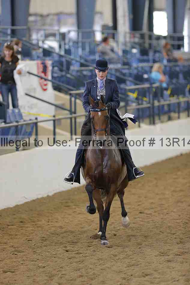 Proof Number 13r14_3776