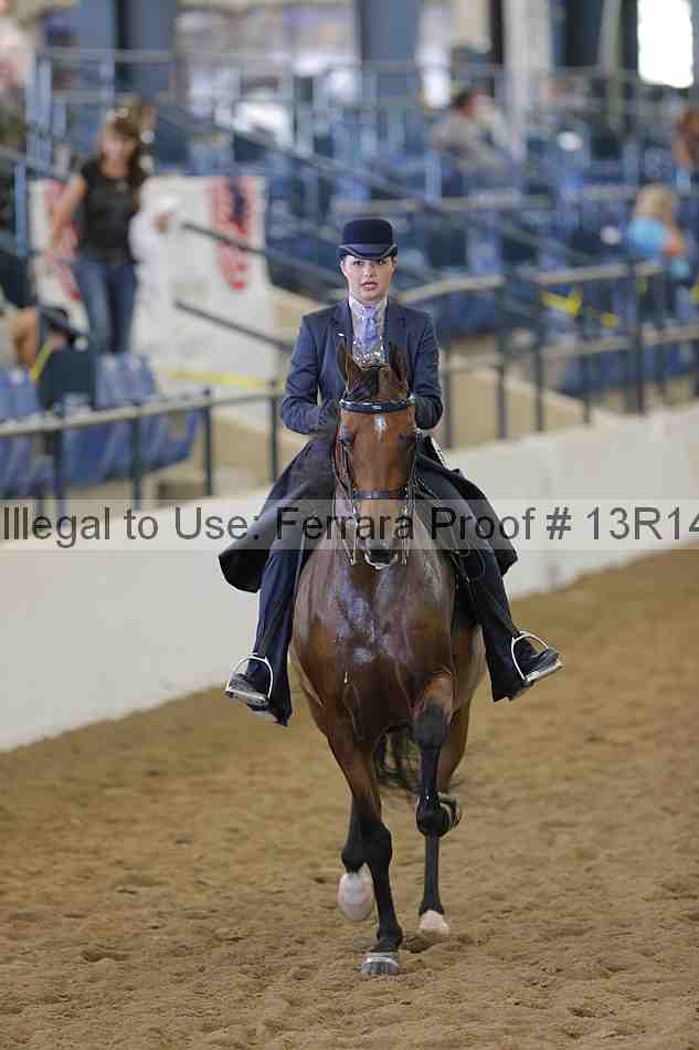 Proof Number 13r14_3777