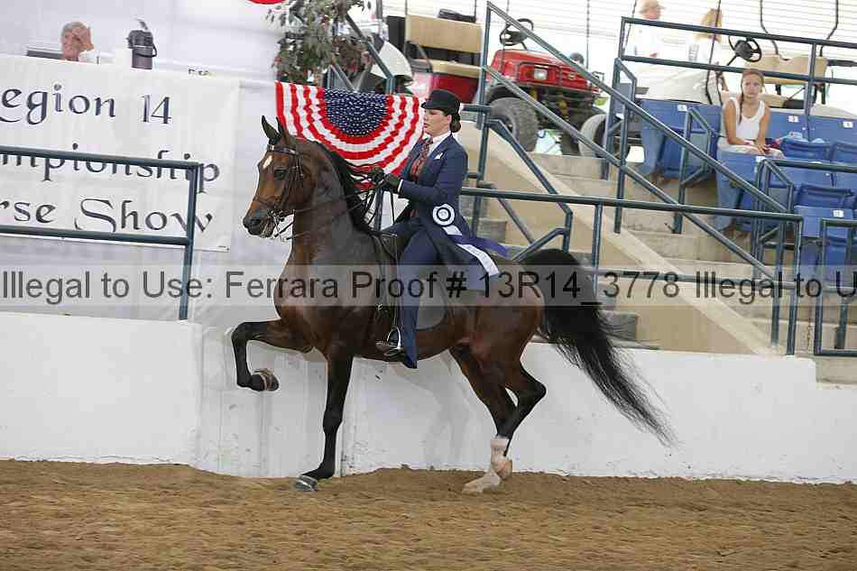 Proof Number 13r14_3778