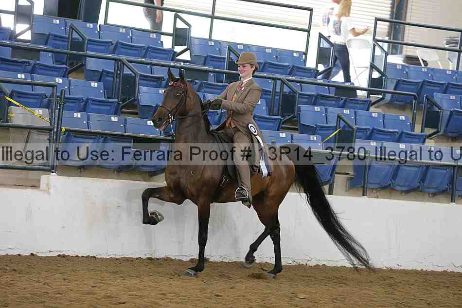 Proof Number 13r14_3780