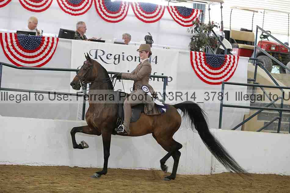 Proof Number 13r14_3781