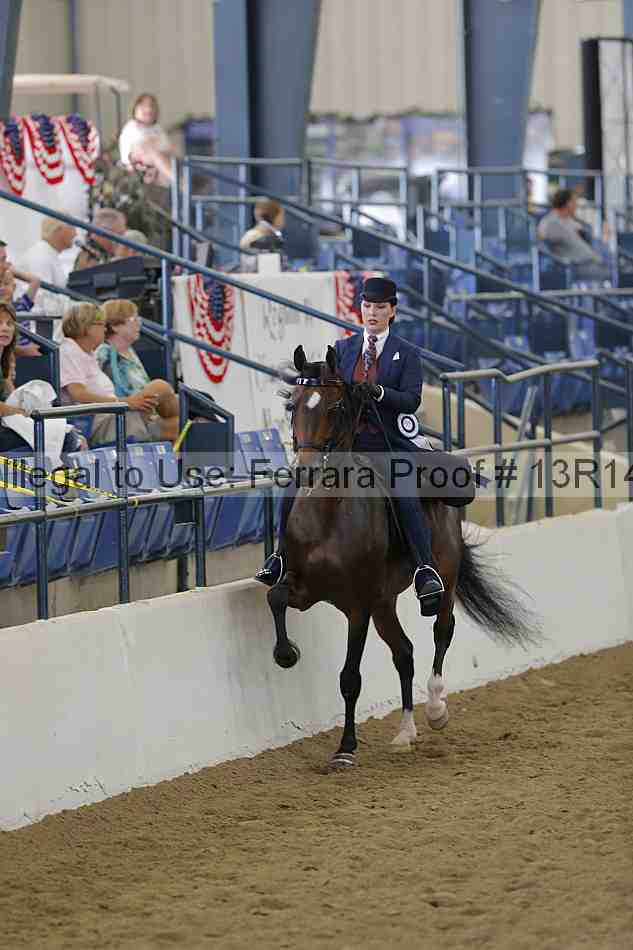 Proof Number 13r14_3782