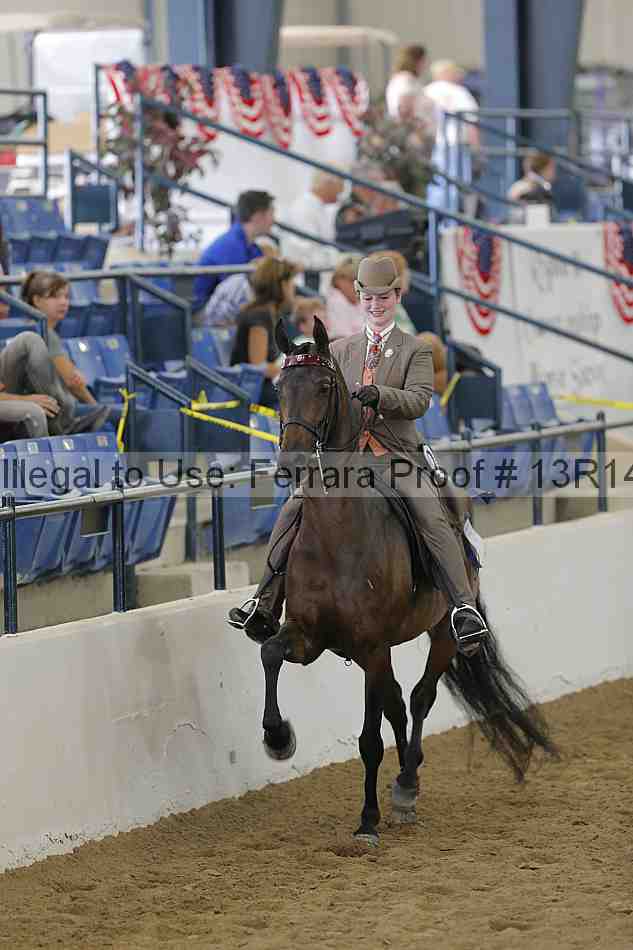 Proof Number 13r14_3784