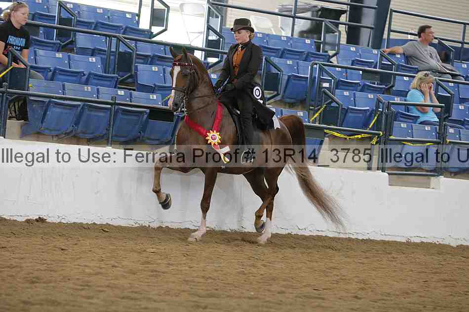 Proof Number 13r14_3785