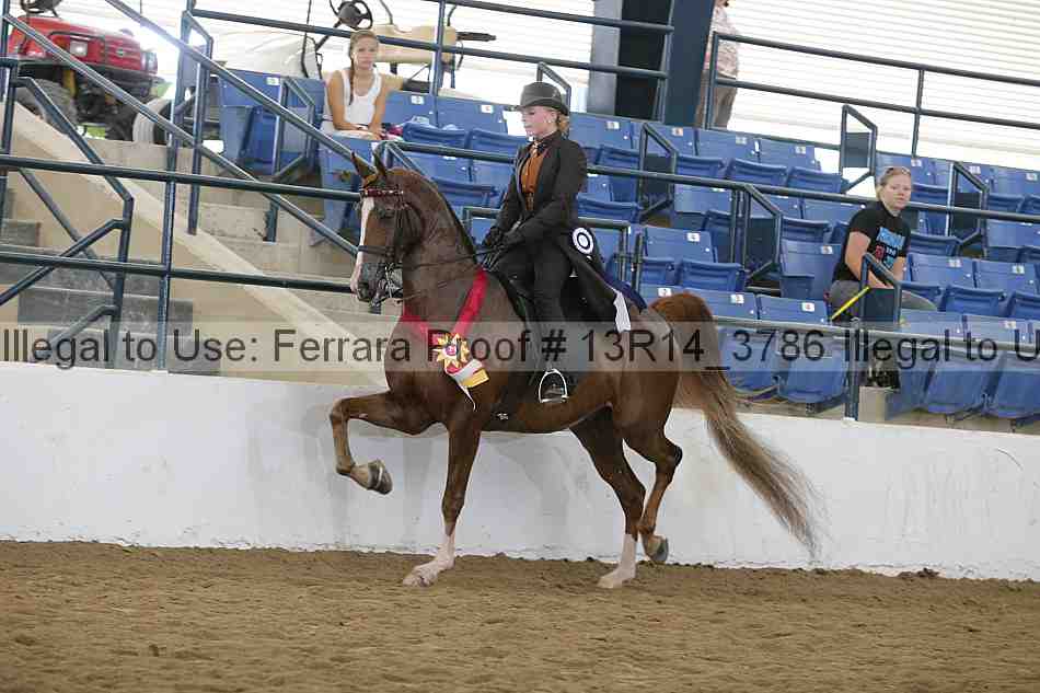 Proof Number 13r14_3786