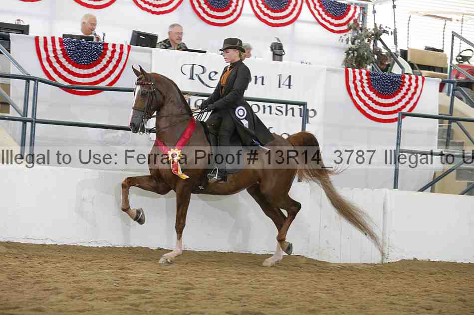 Proof Number 13r14_3787