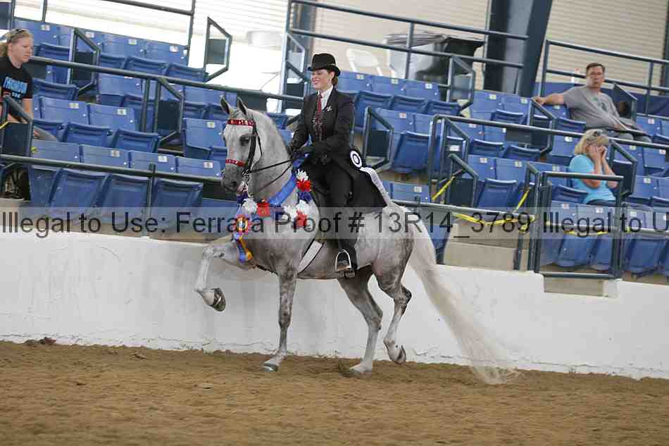 Proof Number 13r14_3789