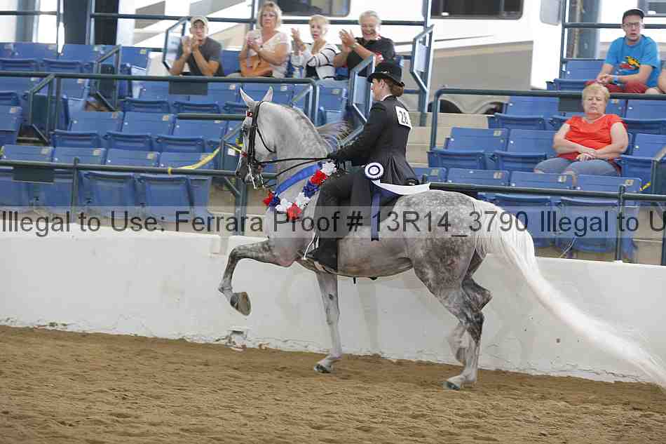 Proof Number 13r14_3790
