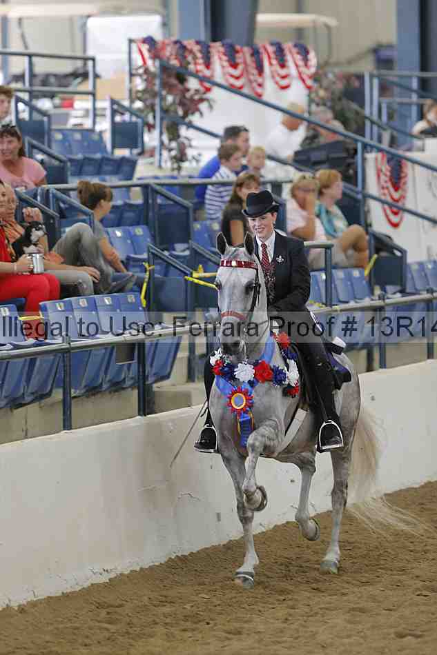 Proof Number 13r14_3792