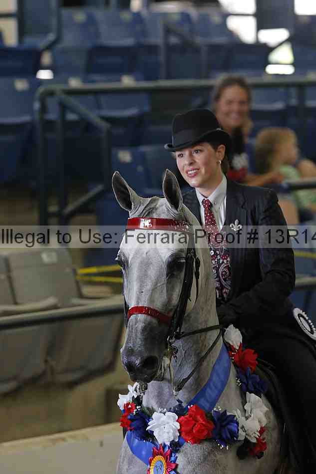 Proof Number 13r14_3793