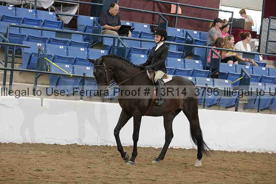 Proof Number 13r14_3796